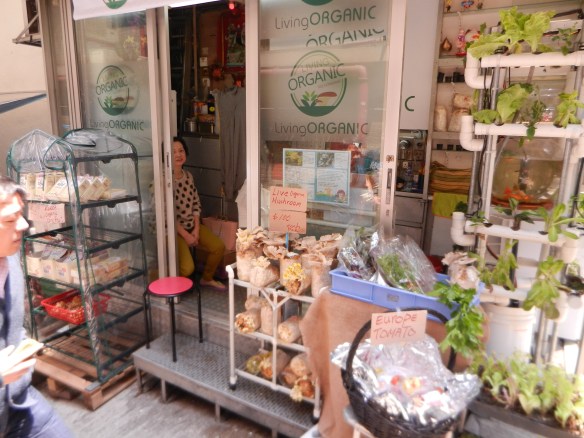 Organic, grow your own mushrooms in Hong Kong
